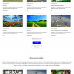 Flexible Posts add-on Flexible Posts add-on